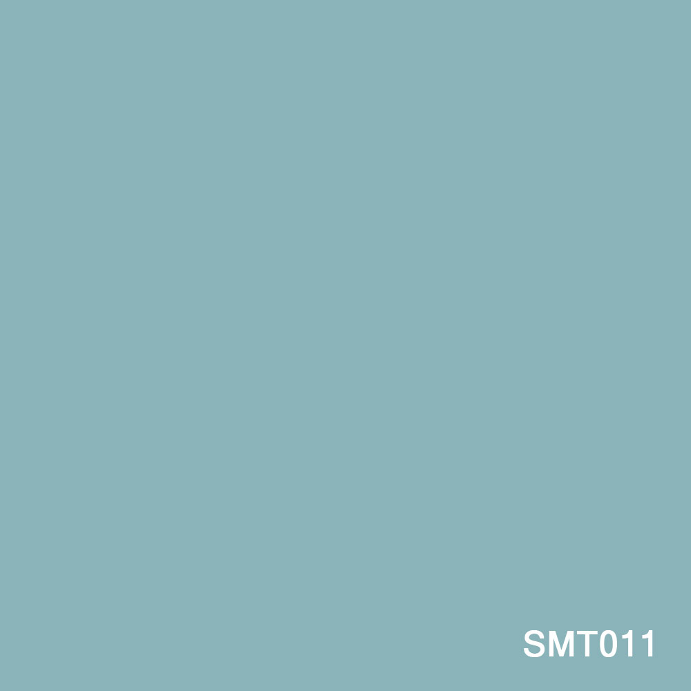 SMT011.jpg