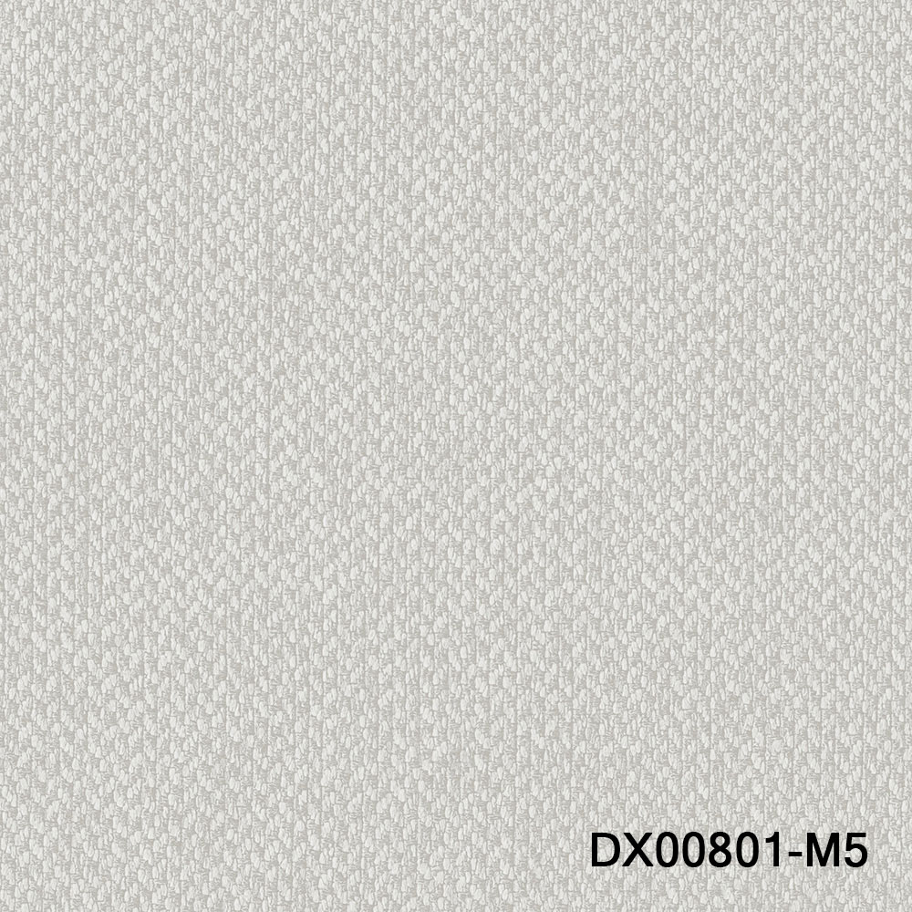 DX00801-M5.jpg