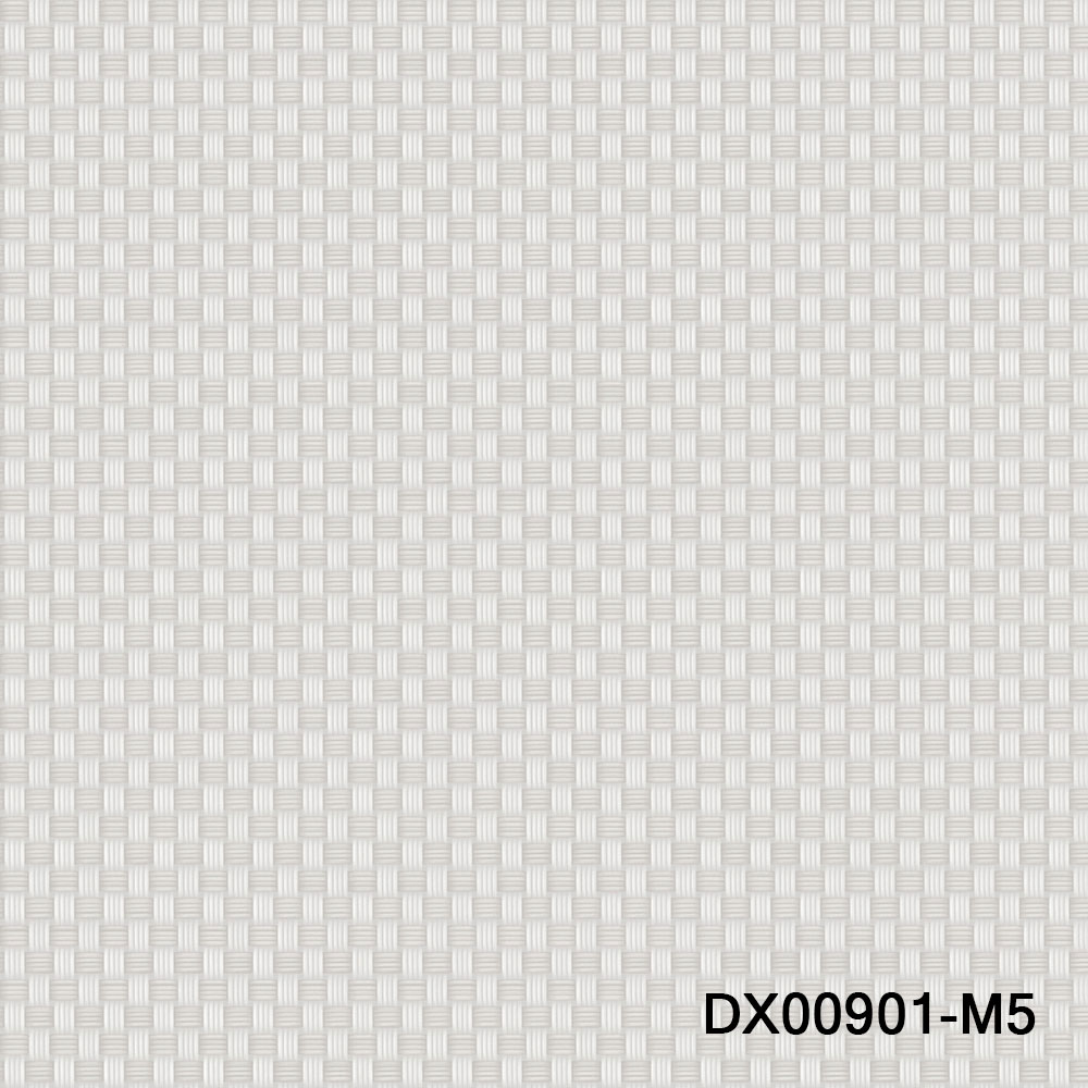 DX00901-M5.jpg