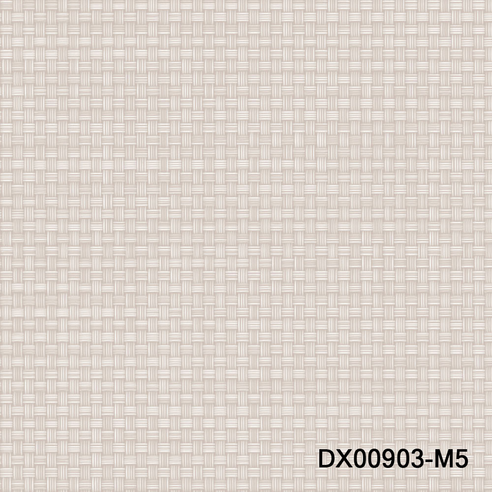 DX00903-M5.jpg