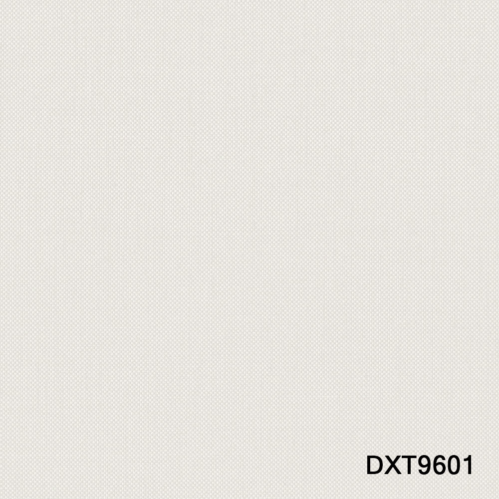 DXT9601.jpg
