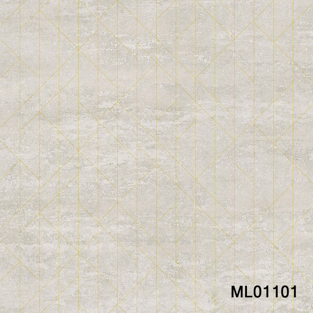 ML01101.jpg