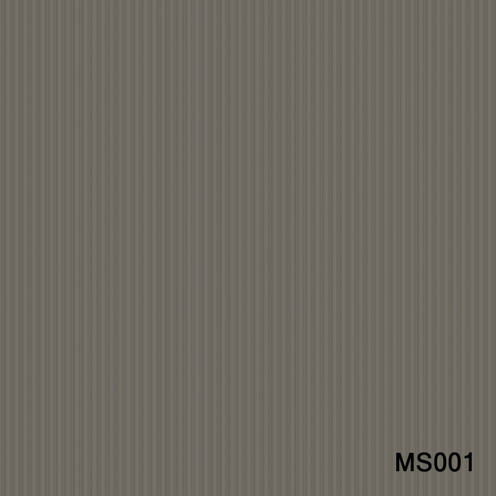 MS001.jpg
