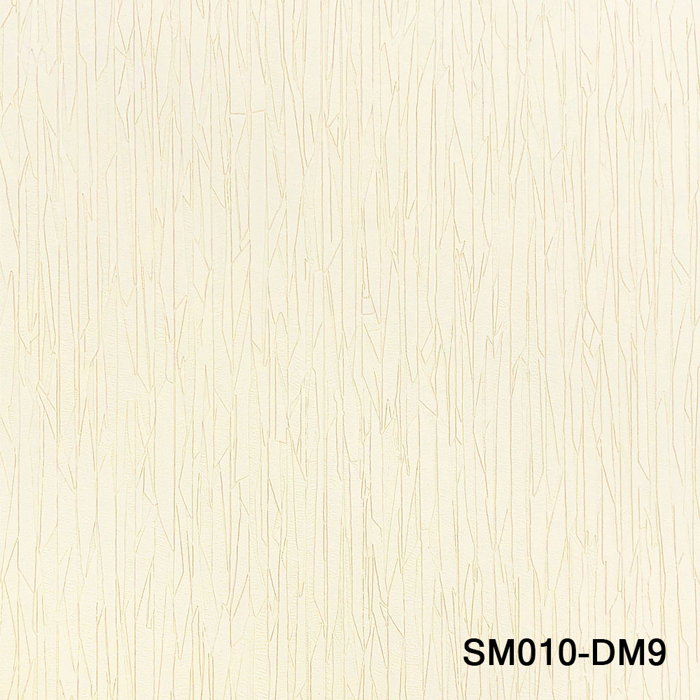 SM010-DM9.jpg